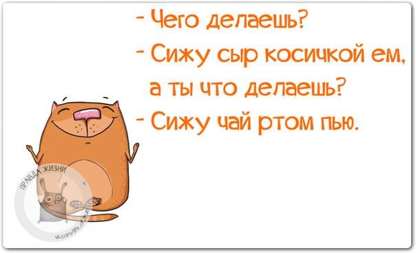 VFL.RU -  