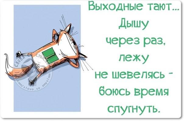 VFL.RU -  