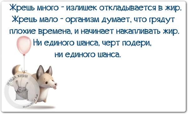 VFL.RU -  