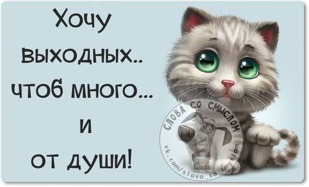 VFL.RU -  