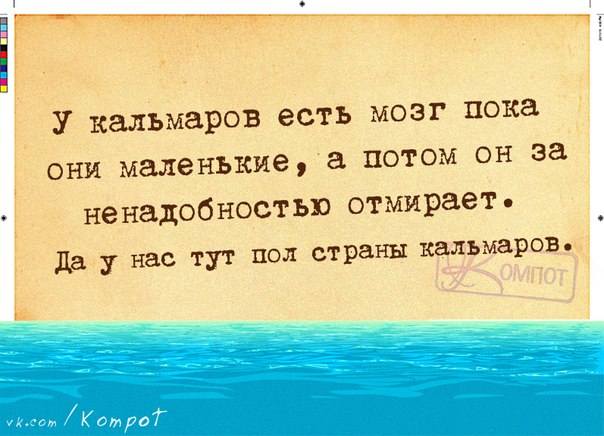 VFL.RU -  