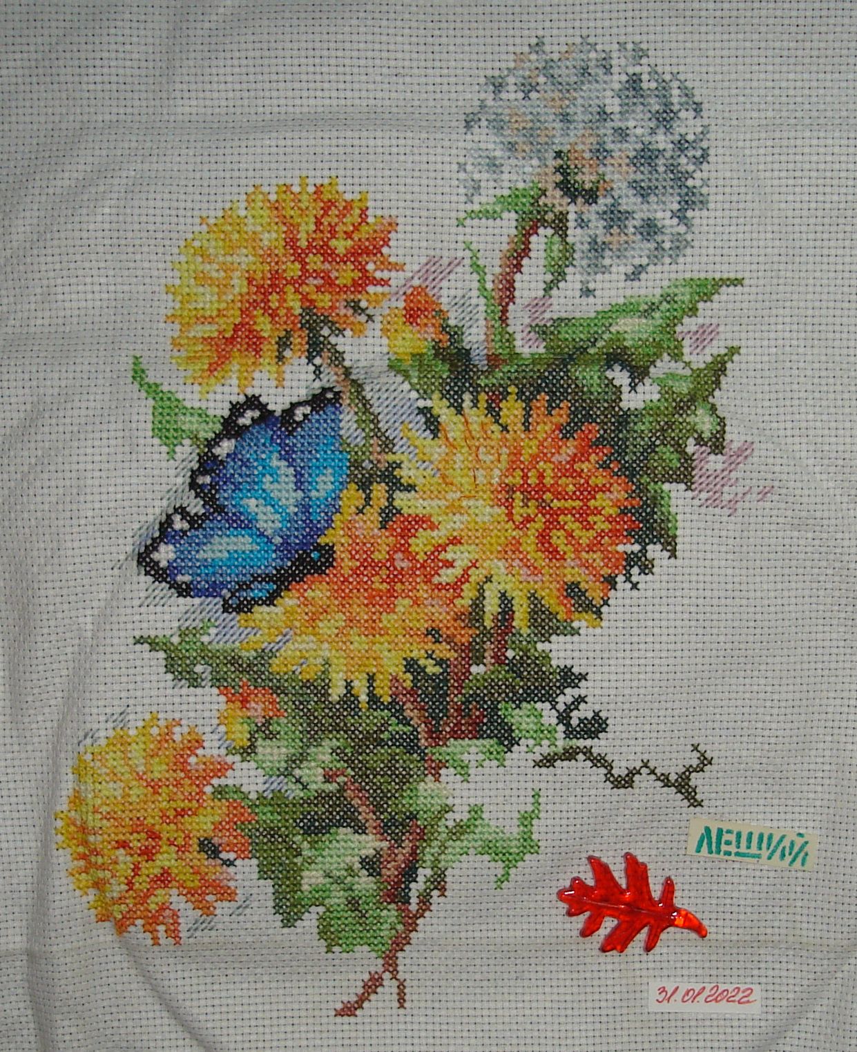 Одуванчики 30 01 2022 (Леший)