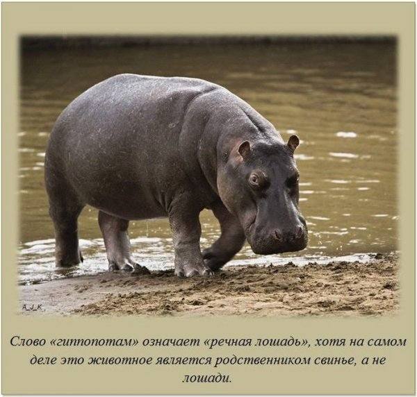 VFL.RU - ��� �����������