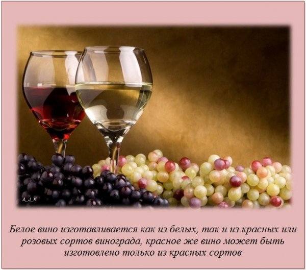 VFL.RU - ��� �����������