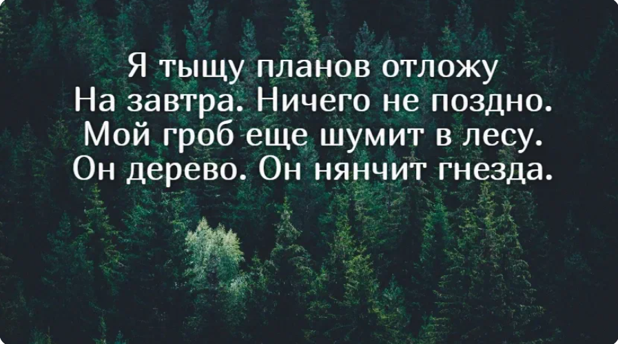 дерево