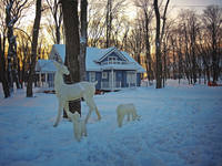 VFL.RU - ваш фотохостинг