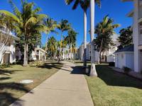 отель пальмы