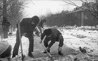 VFL.RU - ваш фотохостинг