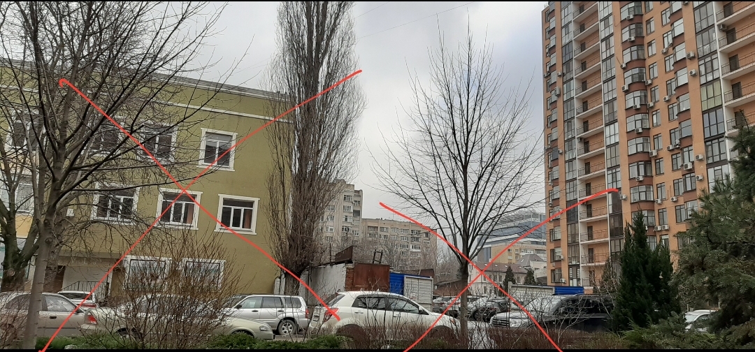 photo3