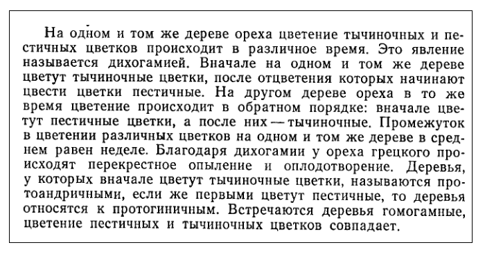 Цветение ореха
