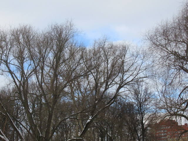 VFL.RU - ваш фотохостинг