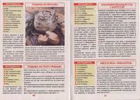 Page21