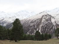 VFL.RU - ваш фотохостинг