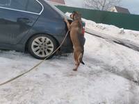 VFL.RU - ваш фотохостинг
