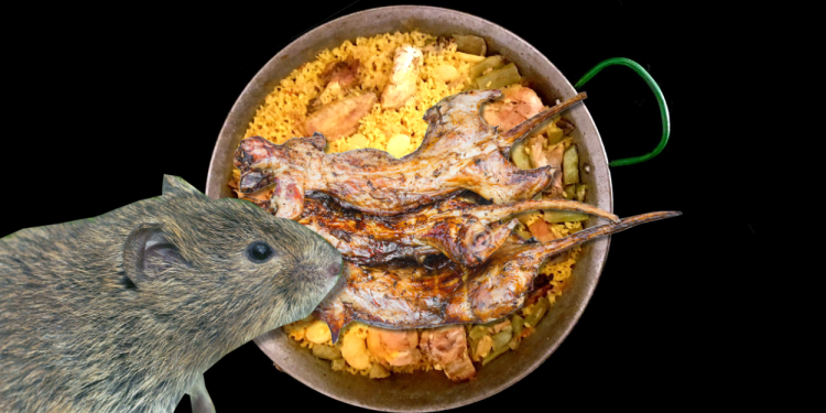 paella-valenciana-con-rata (1)