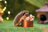 AAD 4551 - копия - копия