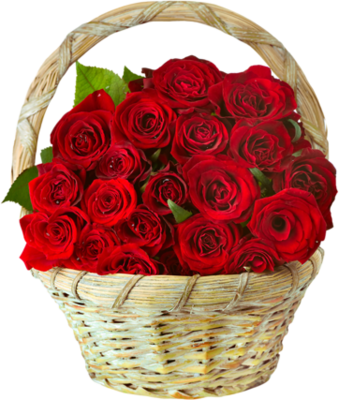 38211496_m.png