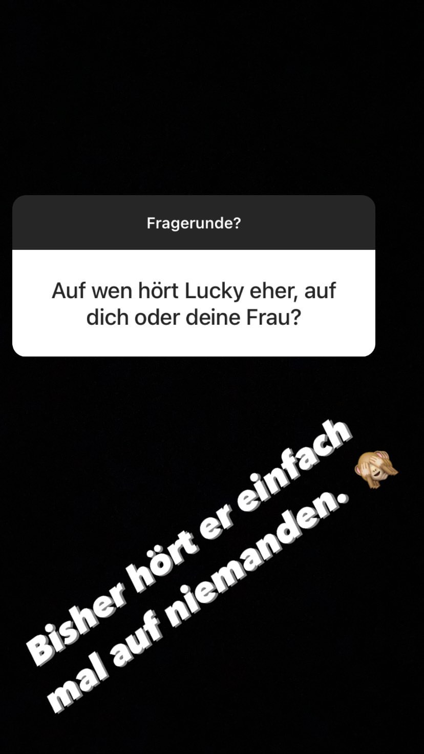 herr lucky-3