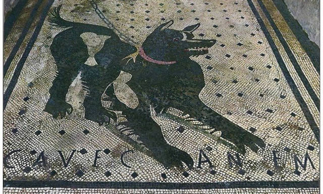 5Cave Canem � ����� ������. �������. ������. V, 1, 26. Casa di Cecilio Giocondo
