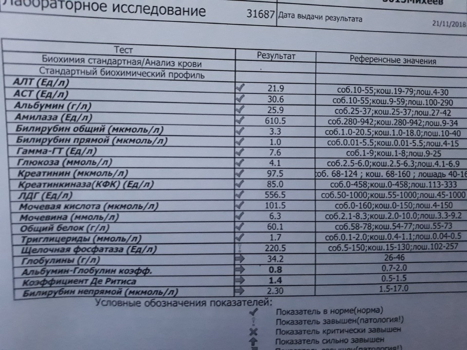 399f988bf572