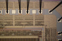 Image7