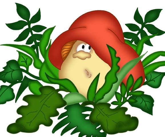 VFL.RU - ваш фотохостинг