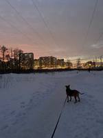 VFL.RU - ваш фотохостинг