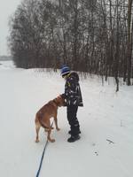 VFL.RU - ваш фотохостинг