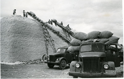 вф 51-13 Ильчихинский Заготпункт 1959