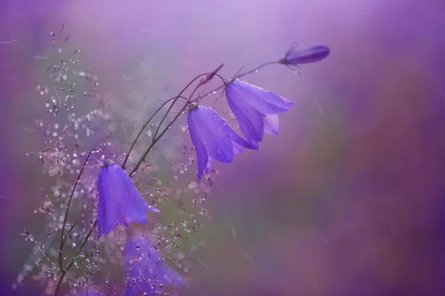 VFL.RU - ��� �����������