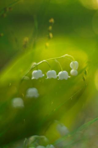 VFL.RU - ��� �����������