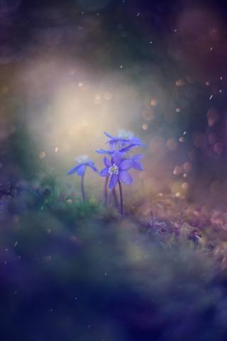 VFL.RU - ��� �����������