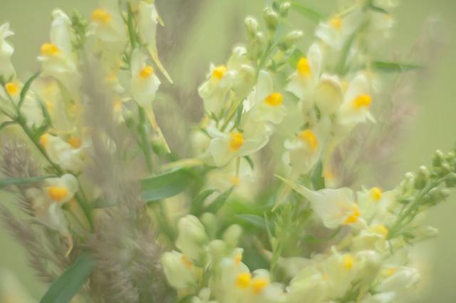 VFL.RU - ��� �����������