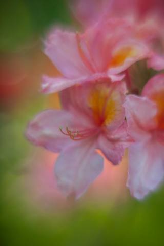 VFL.RU - ��� �����������