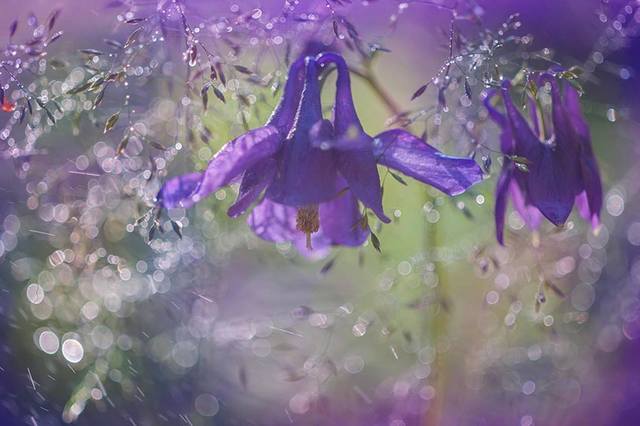 VFL.RU - ��� �����������