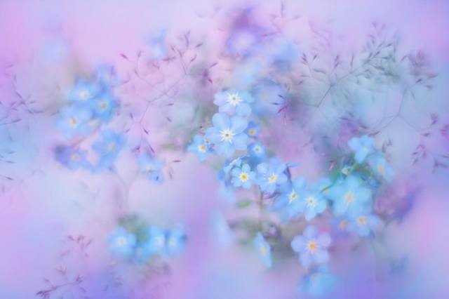 VFL.RU - ��� �����������