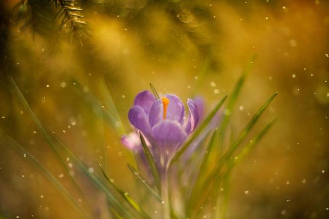 VFL.RU - ��� �����������