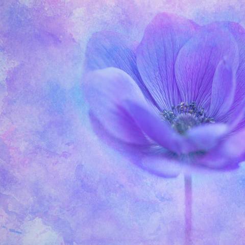 VFL.RU - ��� �����������