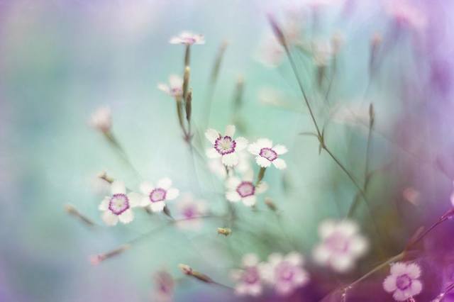 VFL.RU - ��� �����������