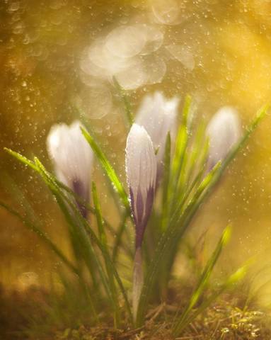 VFL.RU - ��� �����������