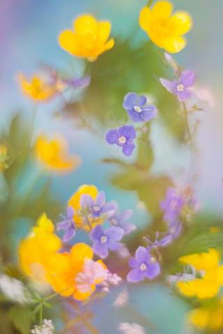 VFL.RU - ��� �����������