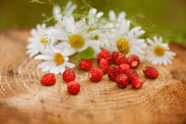 VFL.RU - ��� �����������