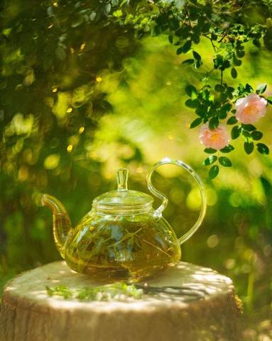 VFL.RU - ��� �����������