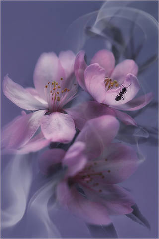 VFL.RU - ��� �����������