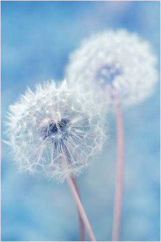 VFL.RU - ��� �����������