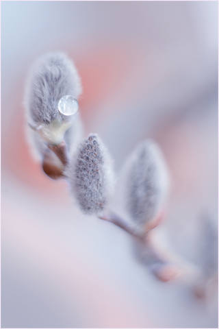 VFL.RU - ��� �����������