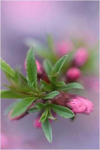 VFL.RU - ��� �����������