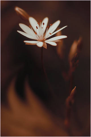 VFL.RU - ��� �����������