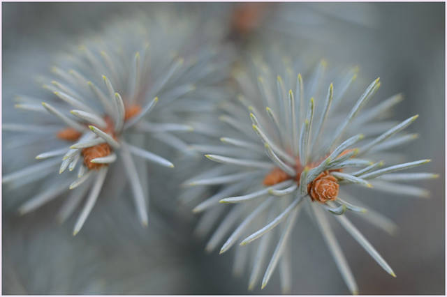 VFL.RU - ��� �����������