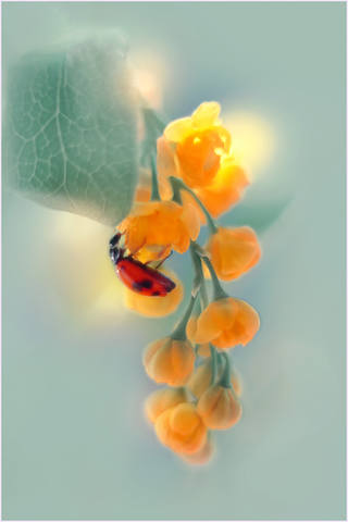 VFL.RU - ��� �����������